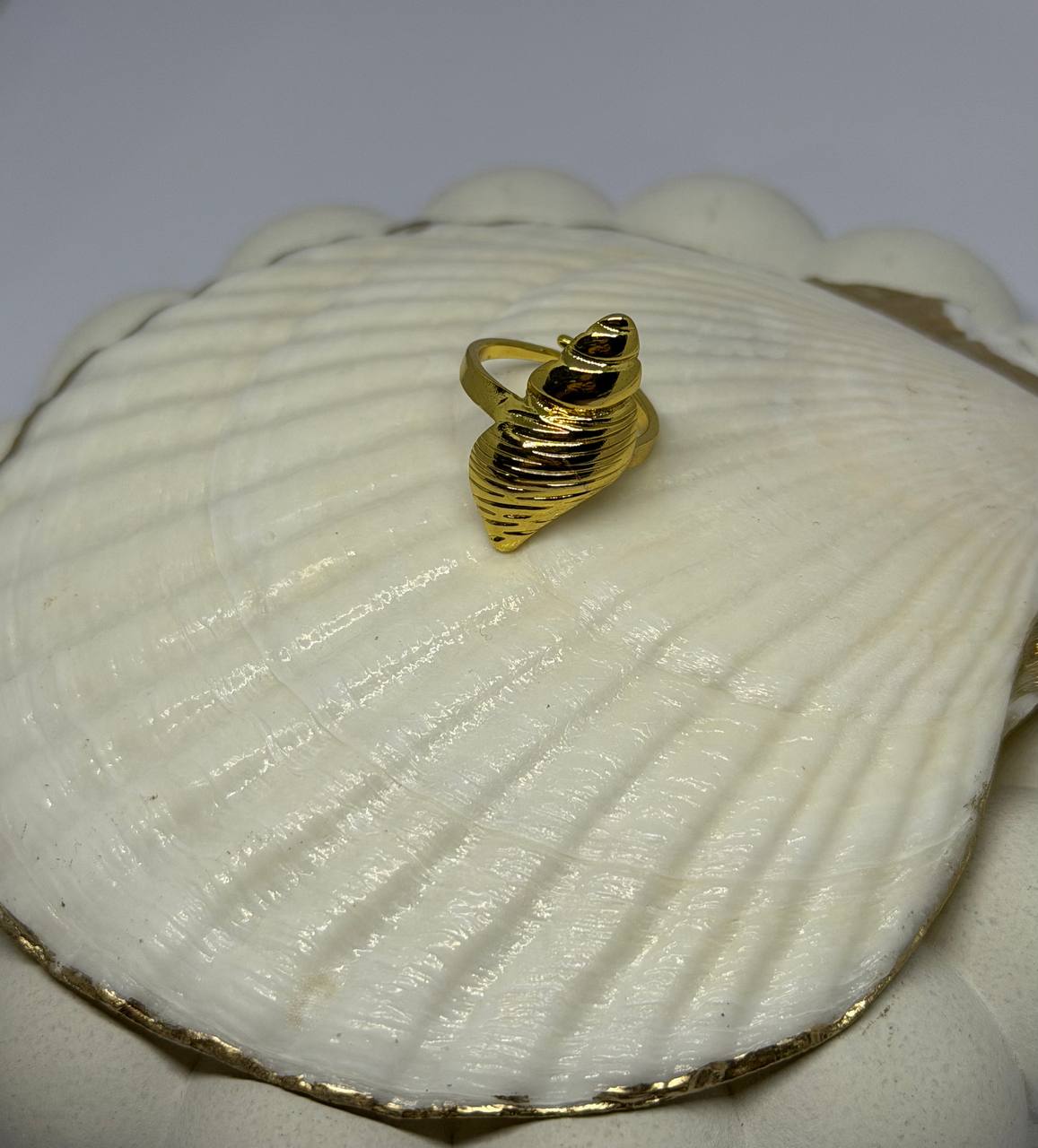 Gold ring on a white shell